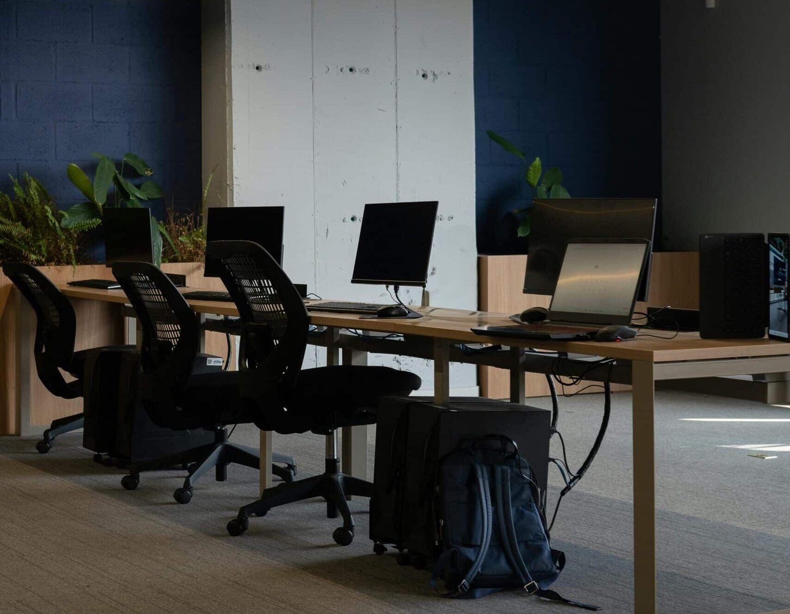 pexels-nicolas-rueda-175965148-26966416